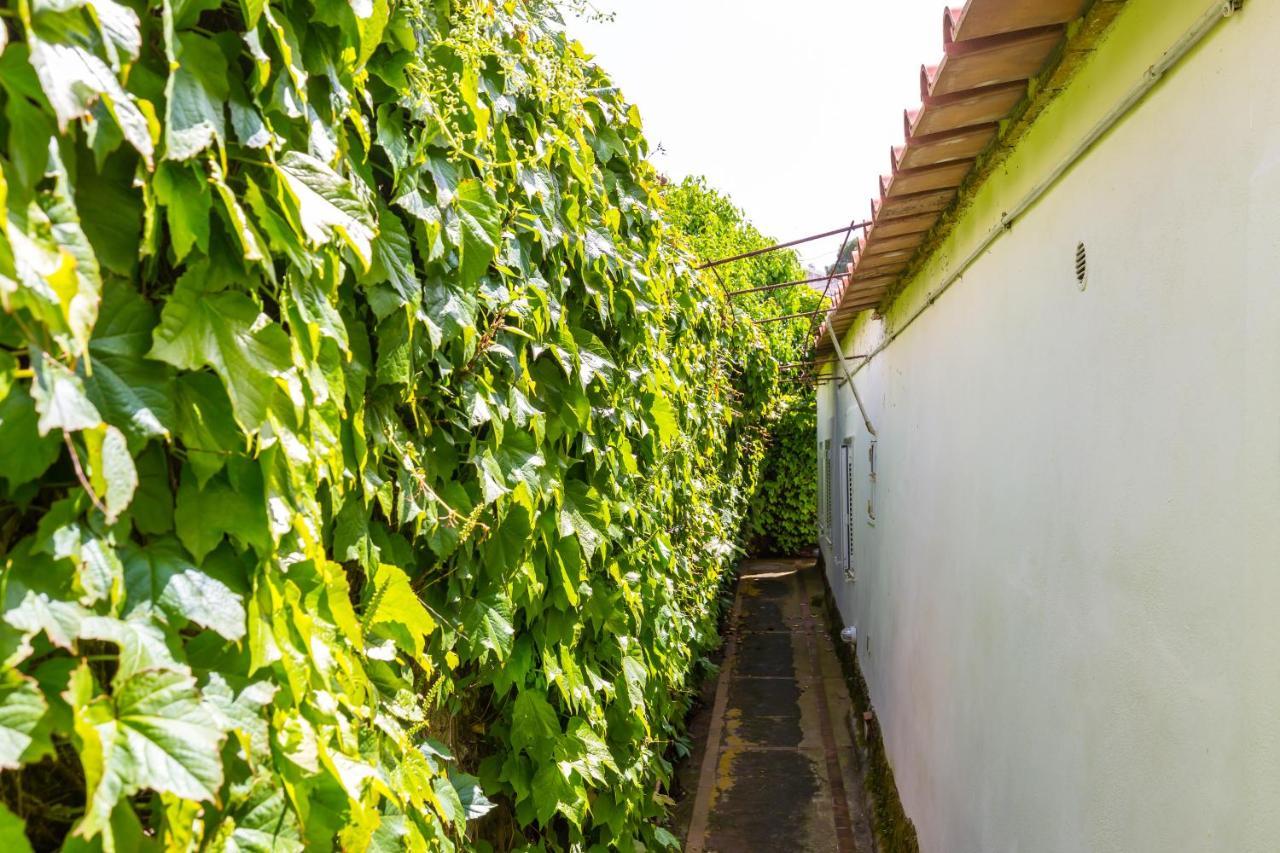 Delle Ninfee By Napoliapartments Villa