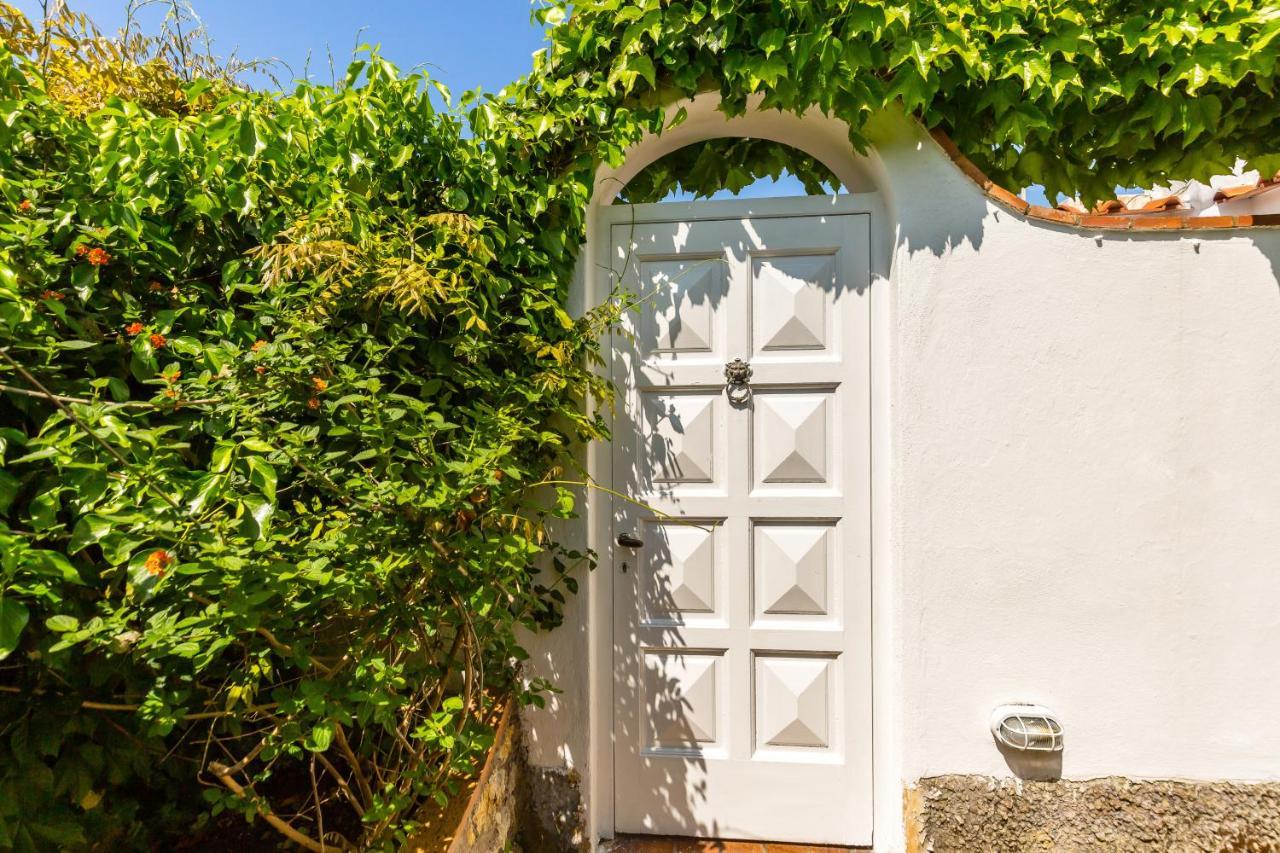 Delle Ninfee By Napoliapartments Villa Anacapri (Isola di Capri)
