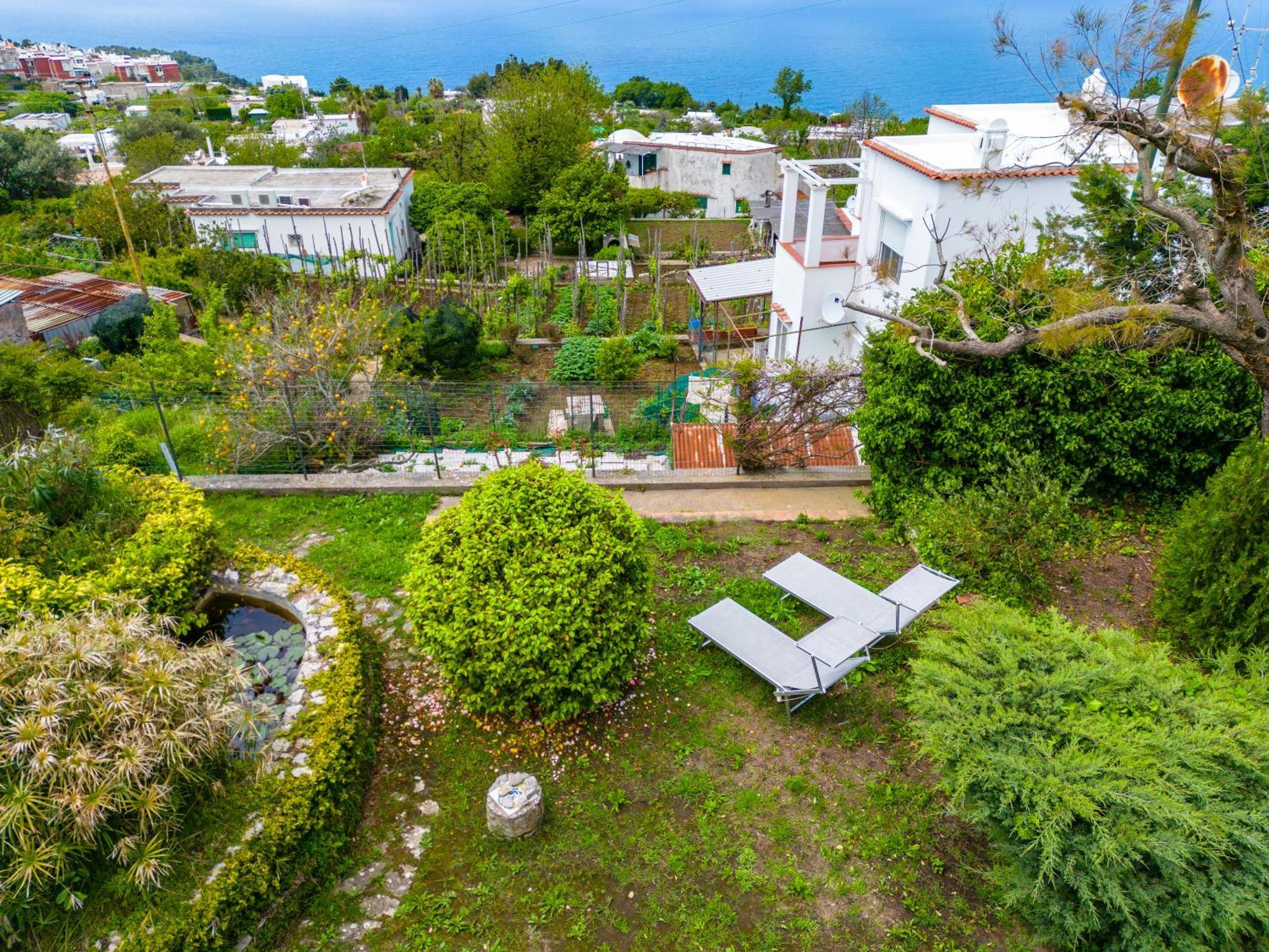 Delle Ninfee By Napoliapartments Anacapri (Isola di Capri)
